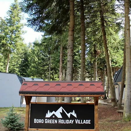 Boro Village Daire Borovets