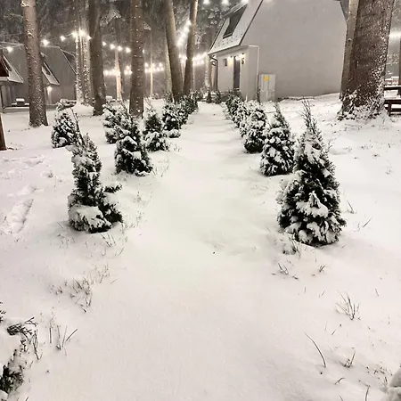 Boro Village