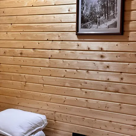 Boro Village アパート ボロヴェッツ