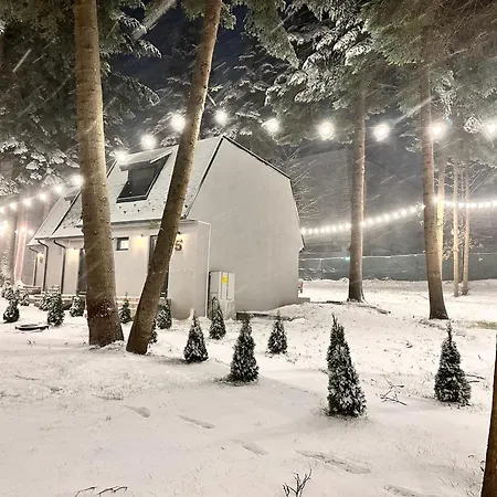 アパート Boro Village ボロヴェッツ