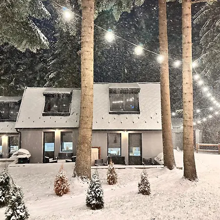 Boro Village 아파트 보로베츠