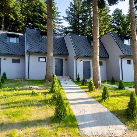 Boro Village Daire