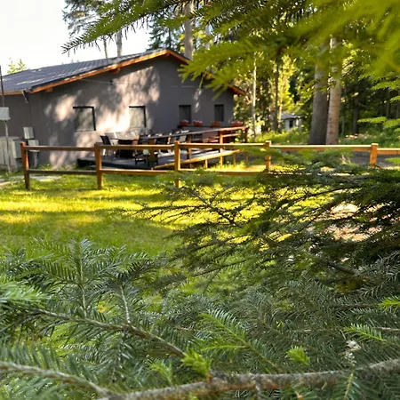 Boro Village