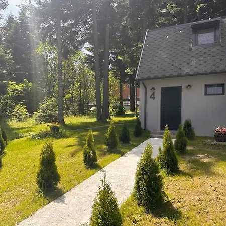 Boro Village アパート ボロヴェッツ