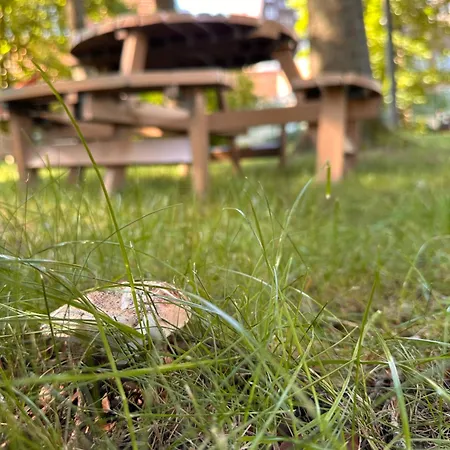 アパート Boro Village ボロヴェッツ