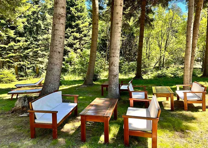 Boro Village Apartament Borowec